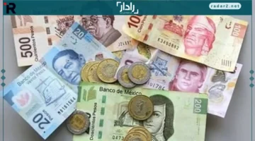 الريال السعودي والعملات الأجنبية تشهد استقراراً في 18 أكتوبر 2025